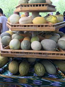 新疆吃瓜高清,高清镜头下的甜蜜诱惑