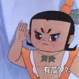带你吃瓜之奇葩,一场别开生面的网络盛宴
