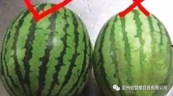 南京hero整齐吃瓜,团结一致,共享瓜果时光