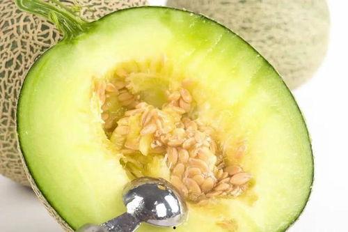 蜜瓜吃瓜,夏日清凉新体验