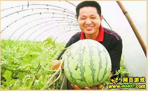 重庆吃瓜墙,揭秘山城美食背后的故事