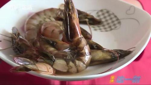 离谱吃瓜活章鱼小说,活章鱼带你探索神秘海洋世界