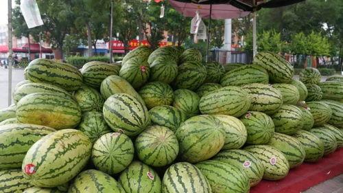 瓜哥带你吃瓜临时开箱,带你领略“吃瓜”新风尚