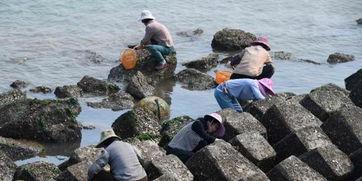 福建吃瓜渔民,揭秘沿海渔村的生活百态