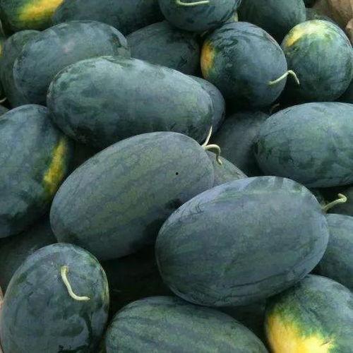 工地红帽子吃瓜,揭秘建筑工地的趣味生活